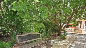 Un banc sous un arbre, dans un jardin avec un chemin pavé de pierres.