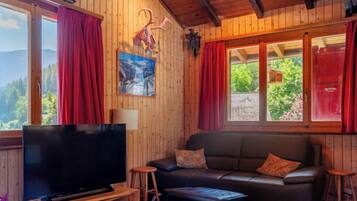 Fernseher, Kamin, DVD-Player