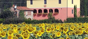 Vacation home Tara by Interhome