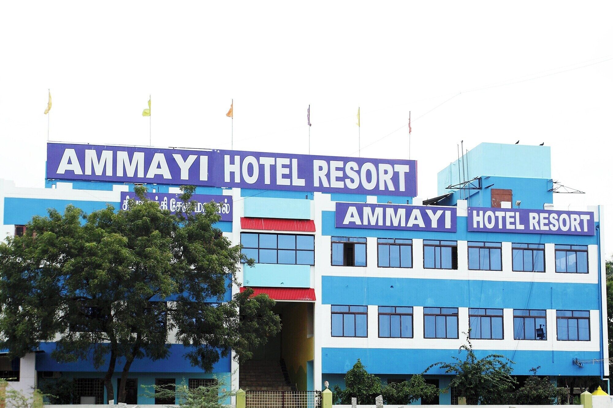 Vista frontal de la propiedad