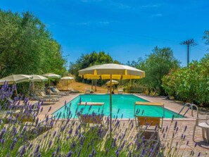 A swimming pool with lounge chairs and umbrellas, surrounded by greenery and lavender plants. - La Ginestra by Interhome (Sovicille)