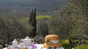Ein Tisch im Freien mit Blick auf Olivenhaine und sanfte Hügel.