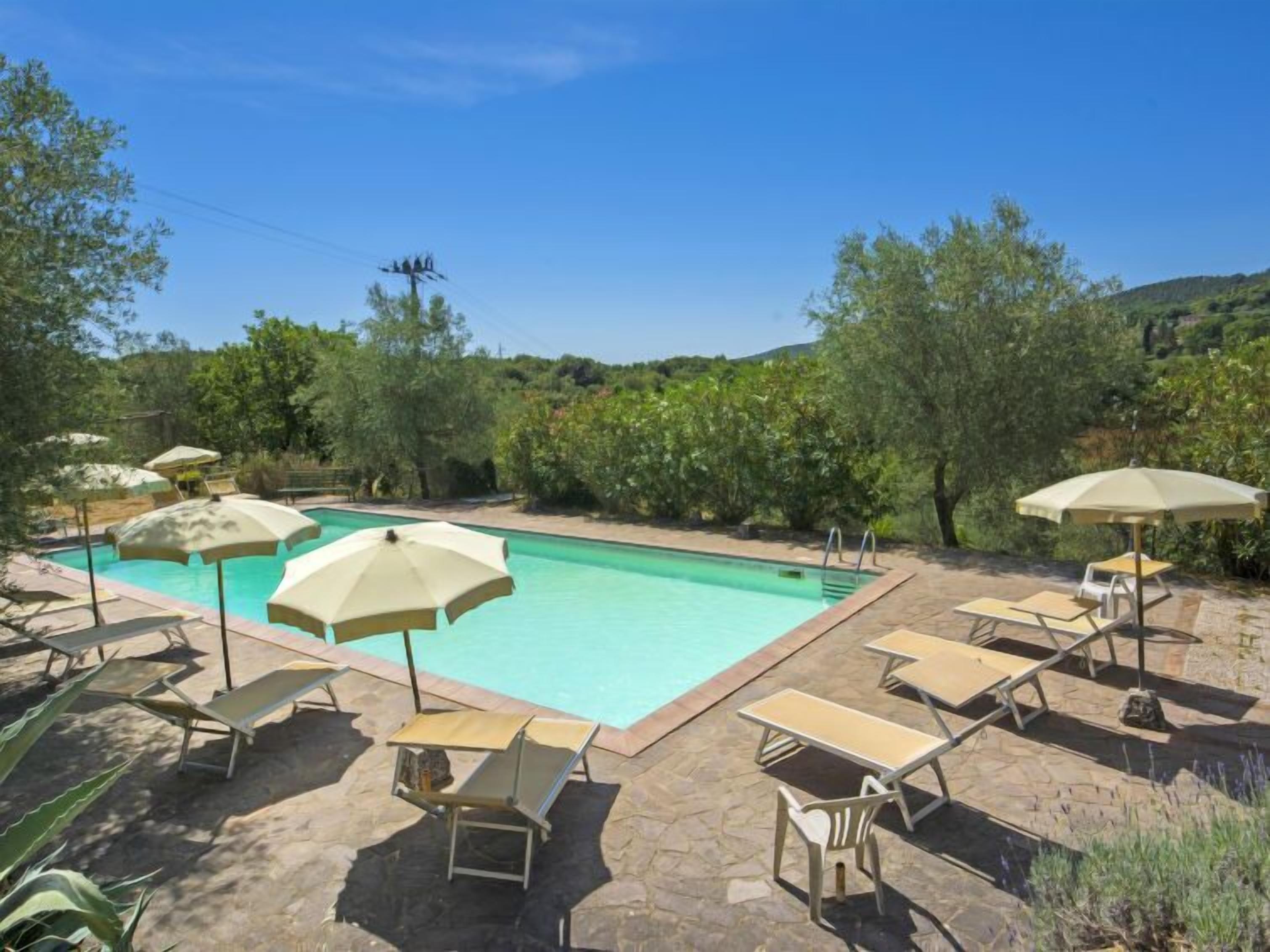 A swimming pool with lounge chairs and umbrellas, surrounded by greenery and hills.