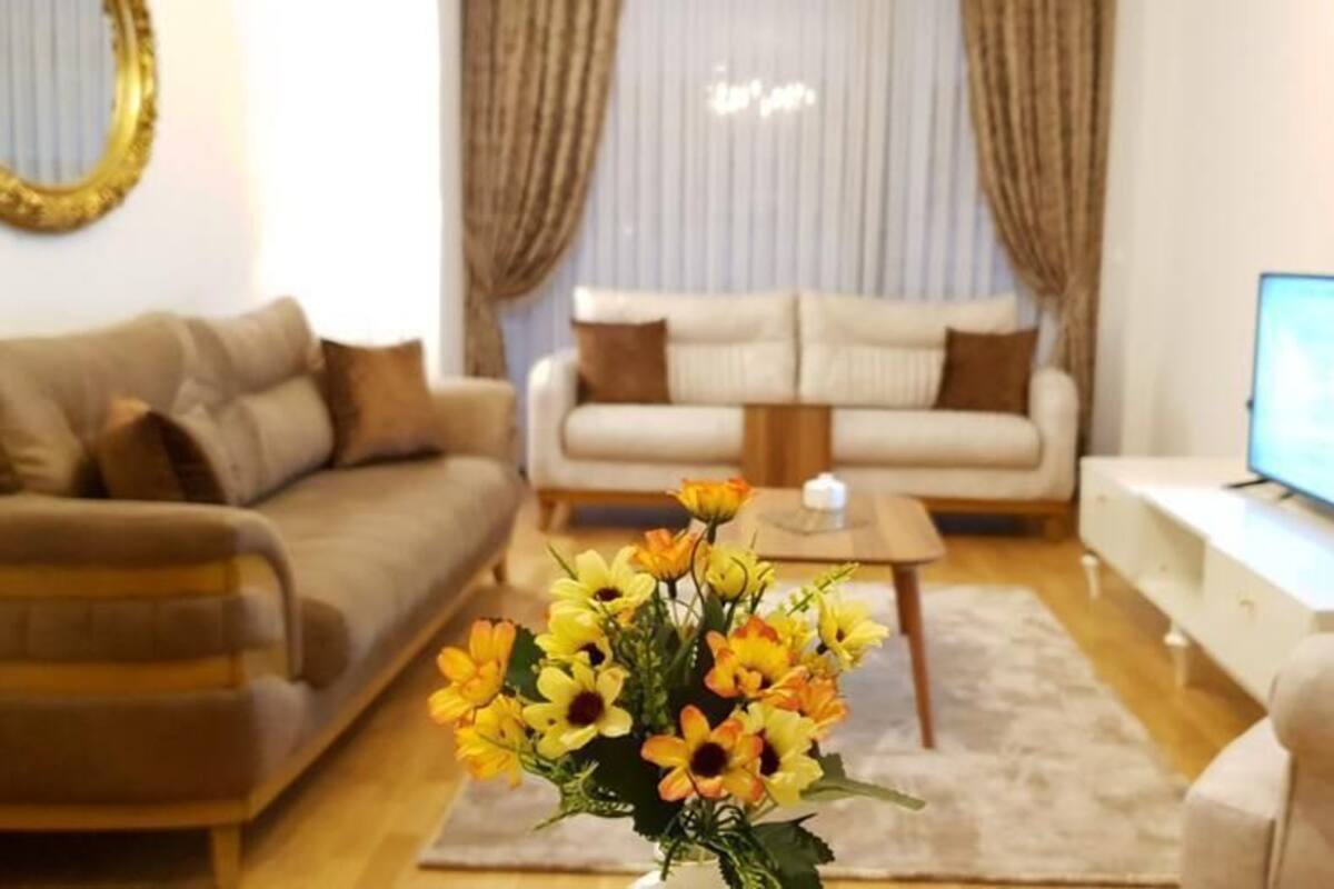 A living room with a sofa, a coffee table, and a TV.