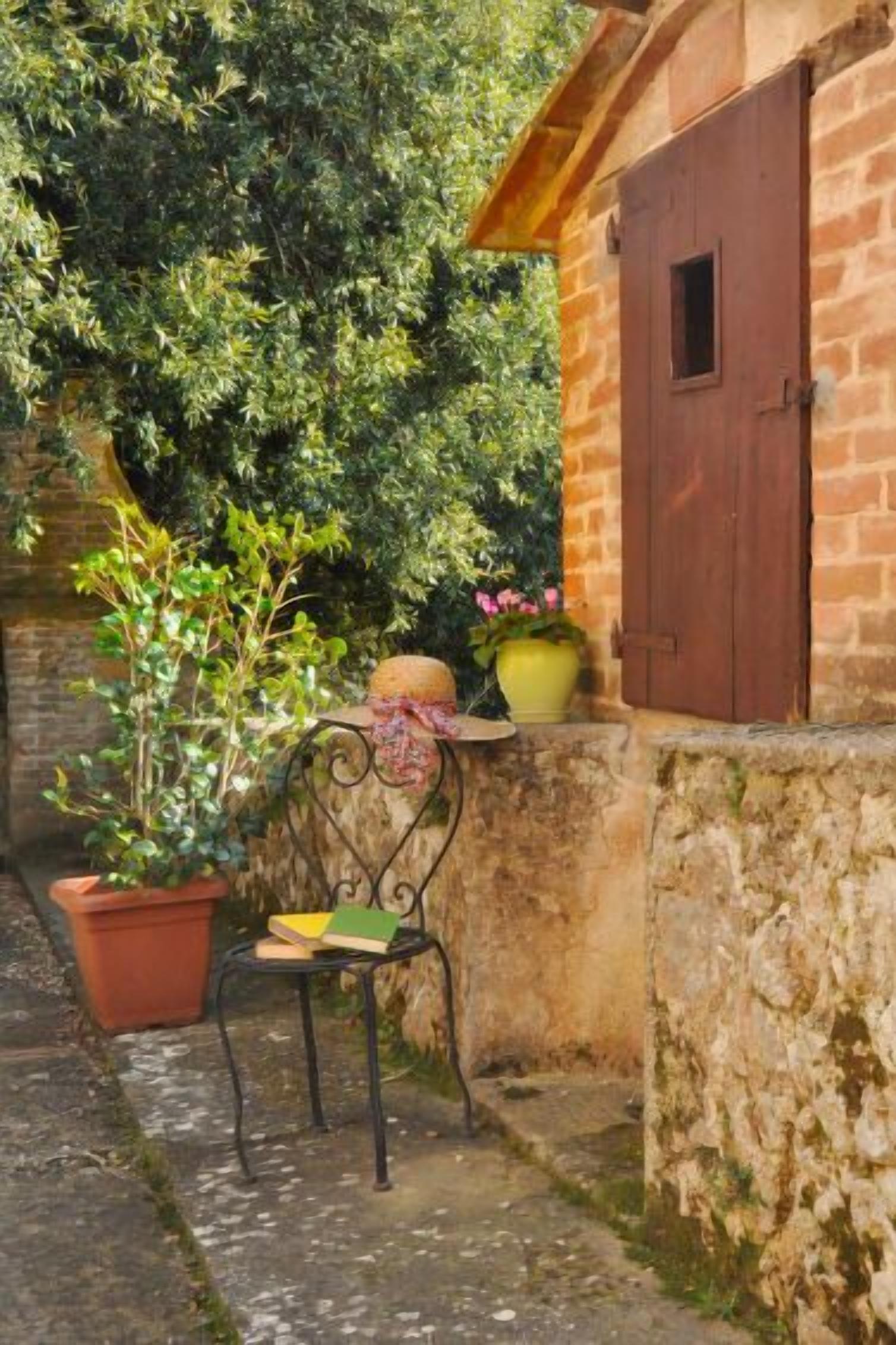 Una rústica pared de piedra con una puerta de madera, una silla de metal con libros y plantas en macetas.