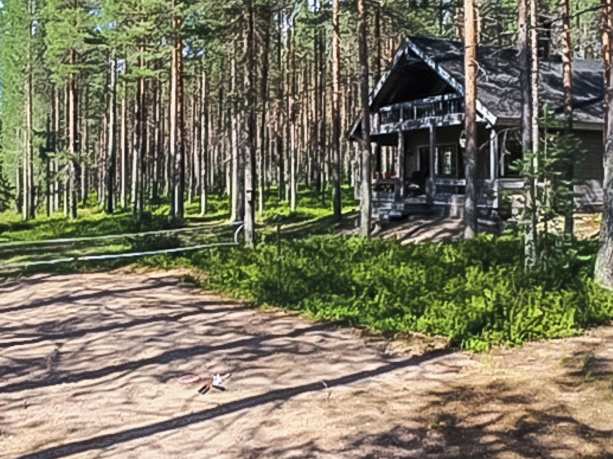 A cabin in a forest with a dirt path leading to it.