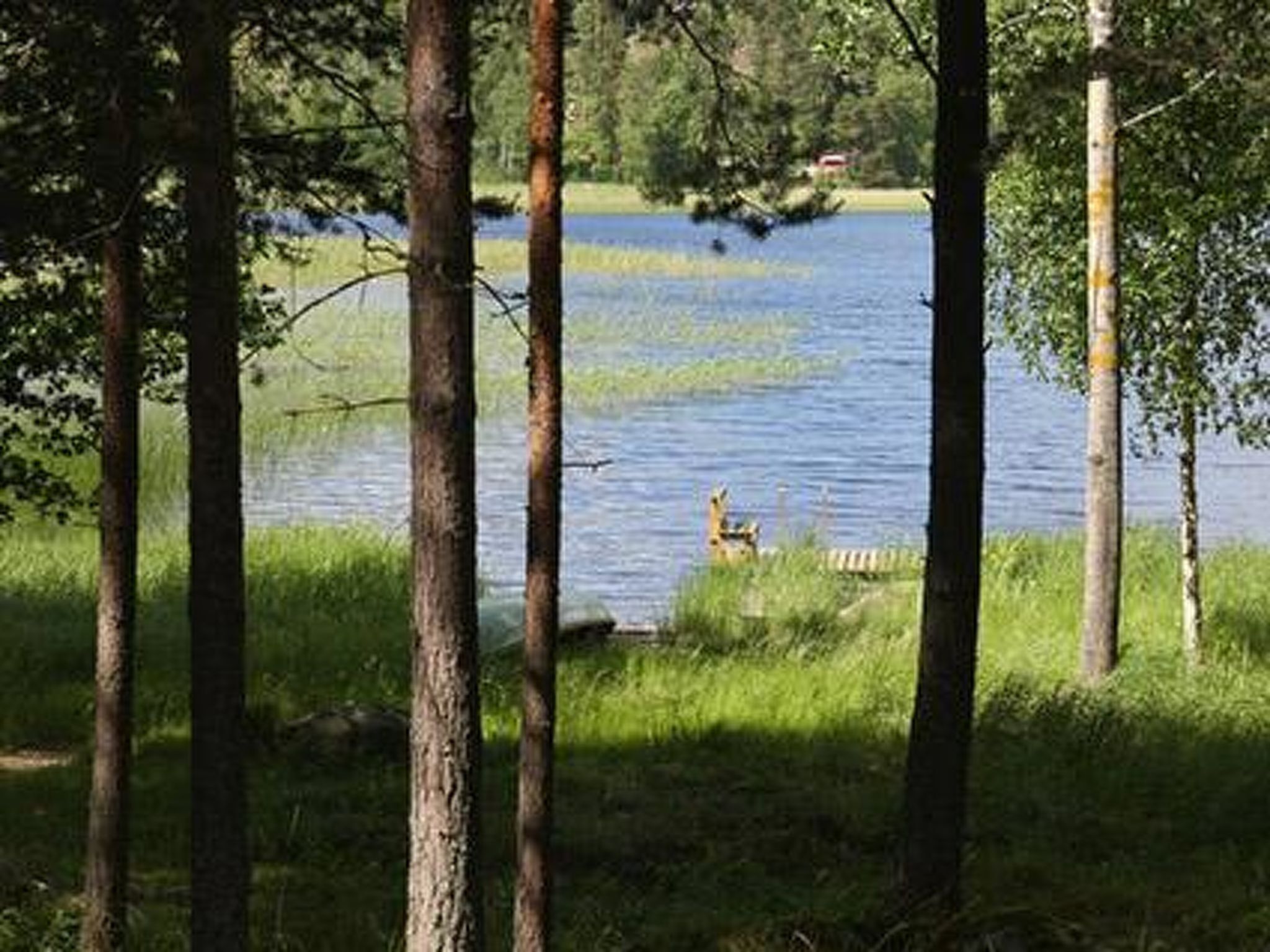 A natural landscape with a lake, trees, and a distant building.