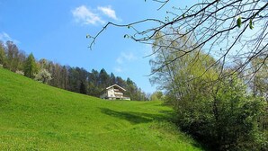 Une maison située sur une colline verdoyante, sous un ciel dégagé.
