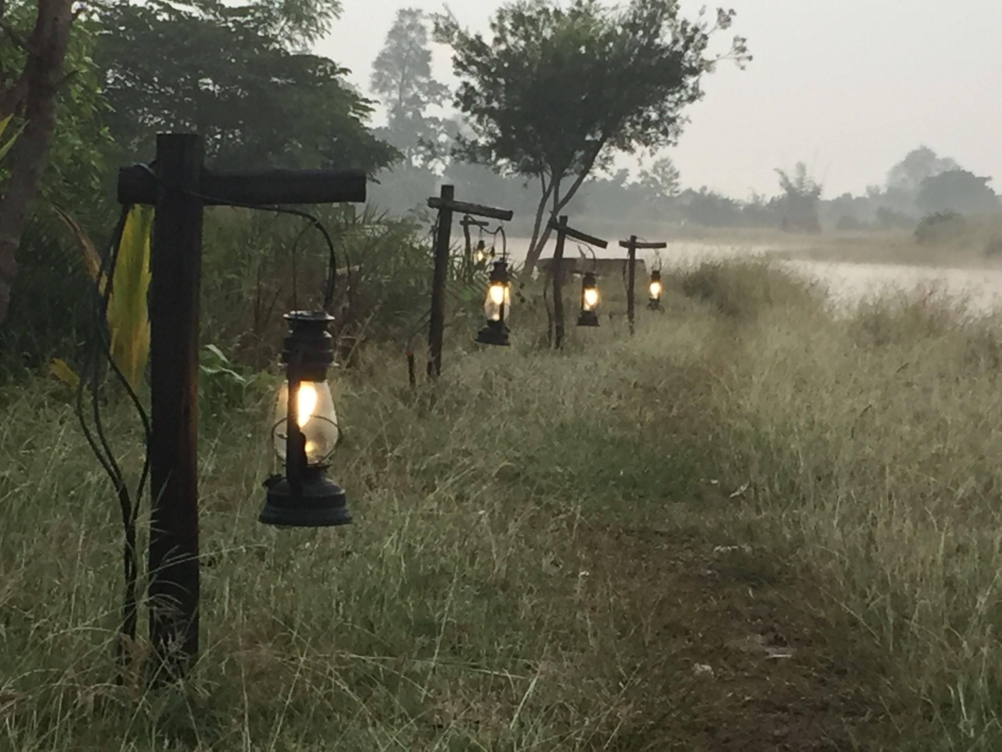 A row of lanterns in a grassy field with trees in the background.