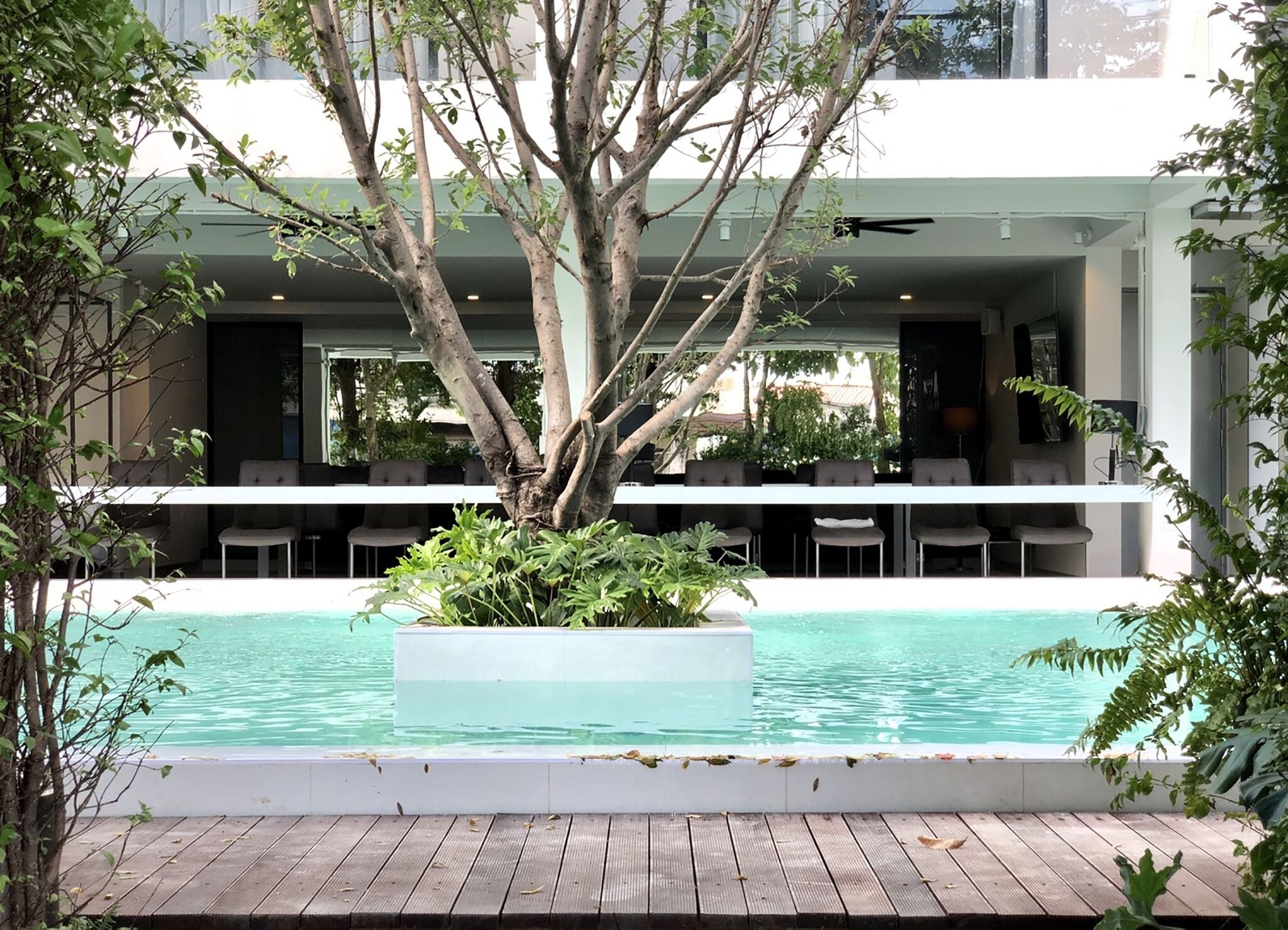 Foto - POR Daowadung