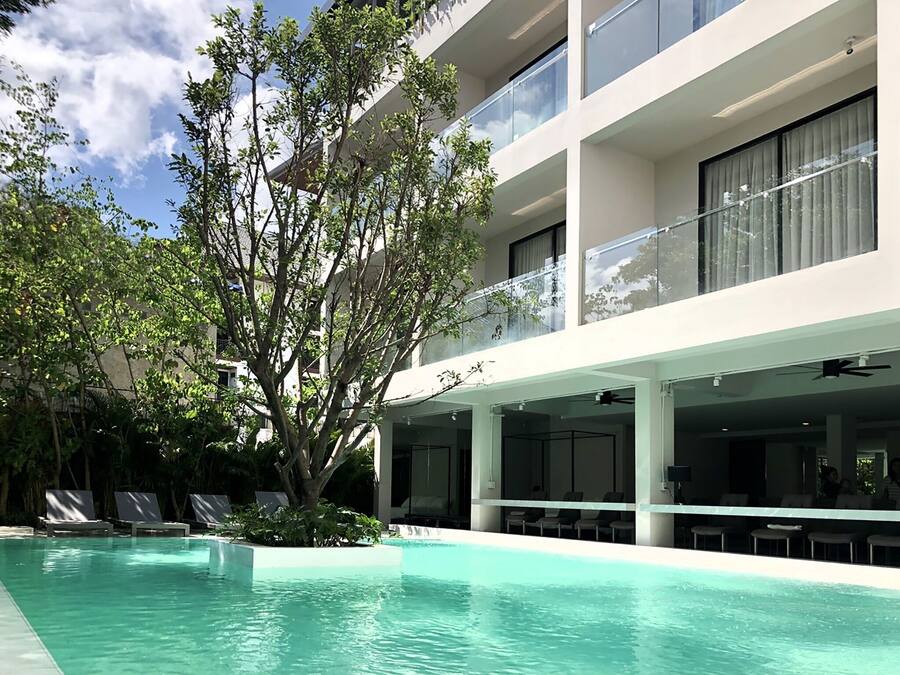 A modern hotel with a swimming pool, lounge chairs, and a large tree.