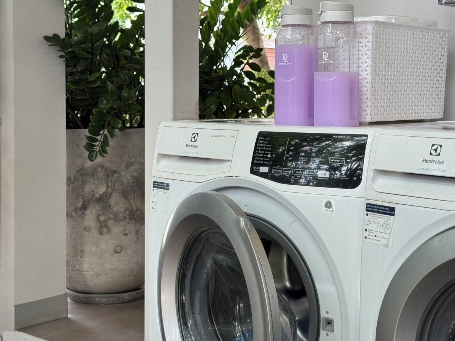 Foto - POR Daowadung