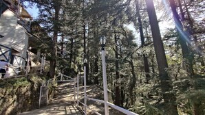 A pathway with metal railings, surrounded by dense trees and a building on the left. - Shimla British Resort (Shimla)