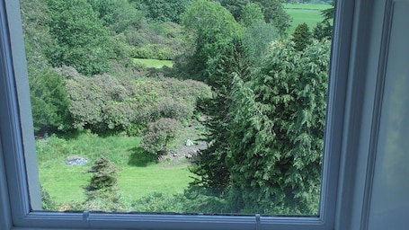 Jardín