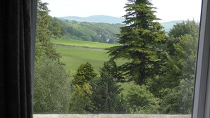 A view through a window of a green landscape with trees and a stone wall. - Kirroughtree Country House B&B (Newton Stewart)