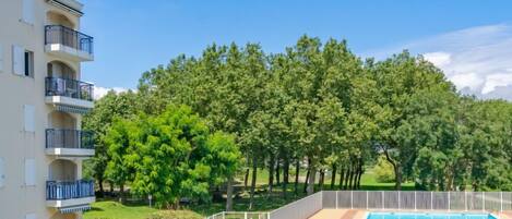 Alberca