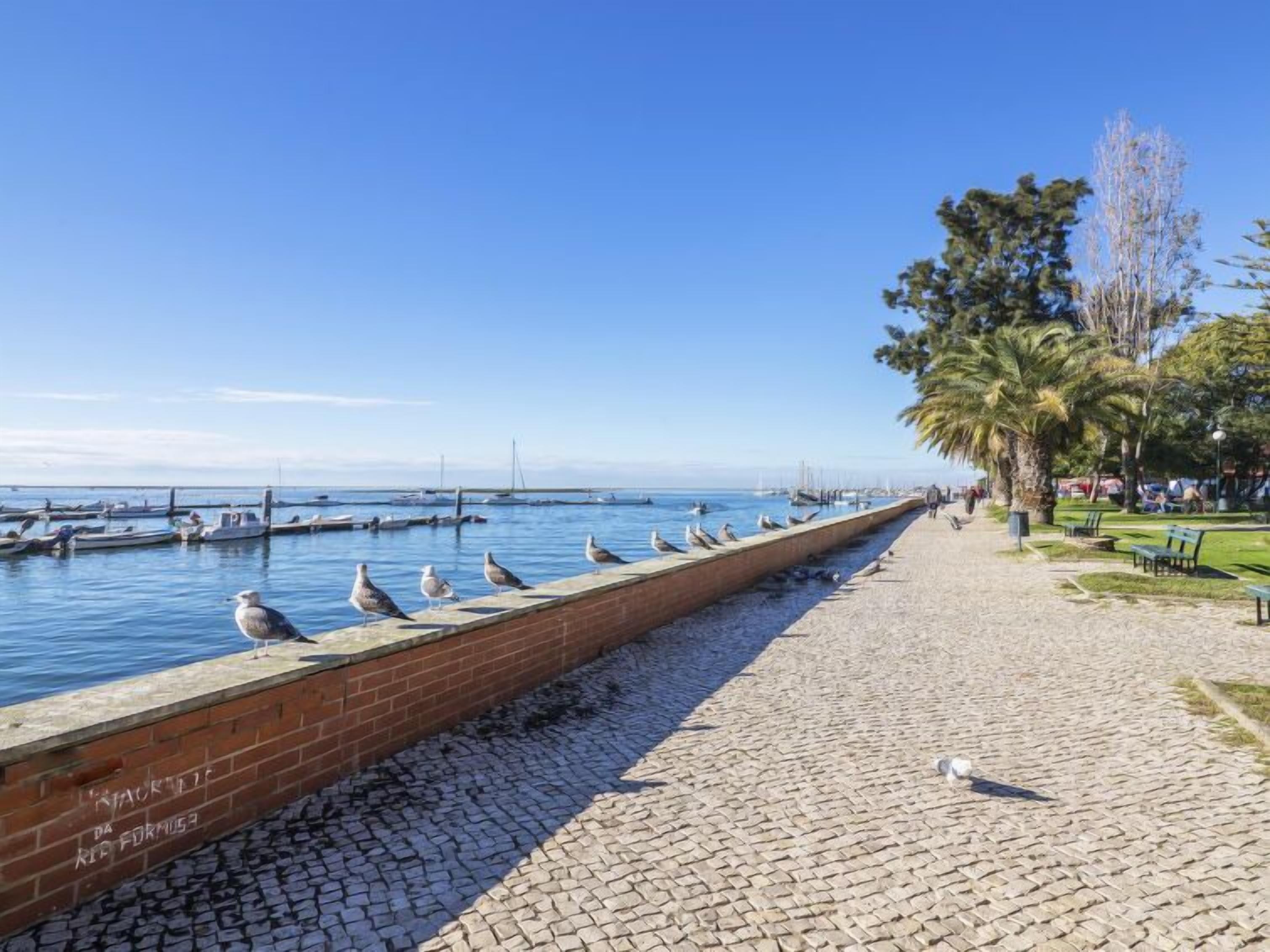 A waterfront promenade with a brick wall, cobblestone path, and palm trees.