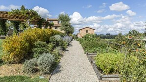 Un sendero en un jardín que lleva a una casa rústica con techo de tejas, rodeada de plantas diversas y un cielo despejado.