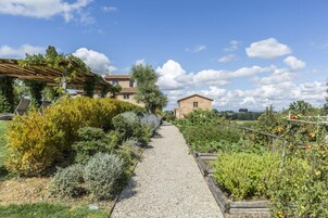 Un sendero en un jardín que lleva a una casa rústica con techo de tejas, rodeada de plantas diversas y un cielo despejado.