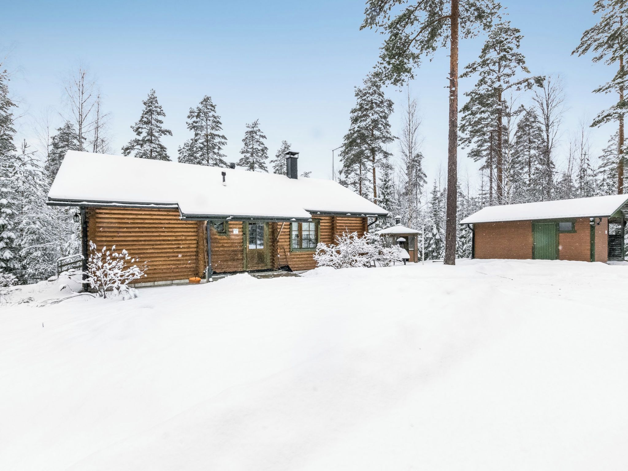 Een chalet met een sneeuwbedekte dak, omringd door hoge dennenbomen.