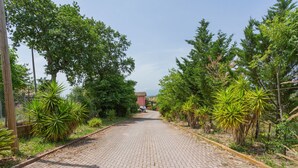 A paved pathway flanked by lush greenery and a red building in the distance. - Contrada Brecciano by Interhome (Città Sant'Angelo)
