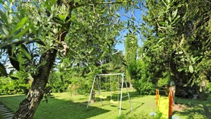 Un espacio con césped, un columpio y un árbol.