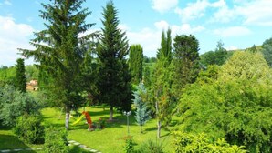 Un jardín exuberante con diversos árboles y arbustos, un camino de piedra y una pequeña estructura roja.
