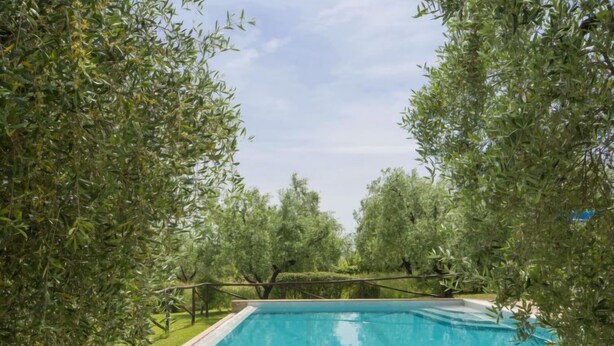 A rectangular swimming pool surrounded by olive trees and a wooden fence. - Oliveto by Interhome (Vinci)