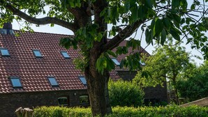A traditional building with a red-tiled roof, a large tree in the foreground, and a well-maintained hedge. - Apartment Krause by Interhome (Norden)
