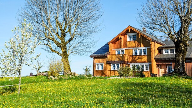 Eksteriør