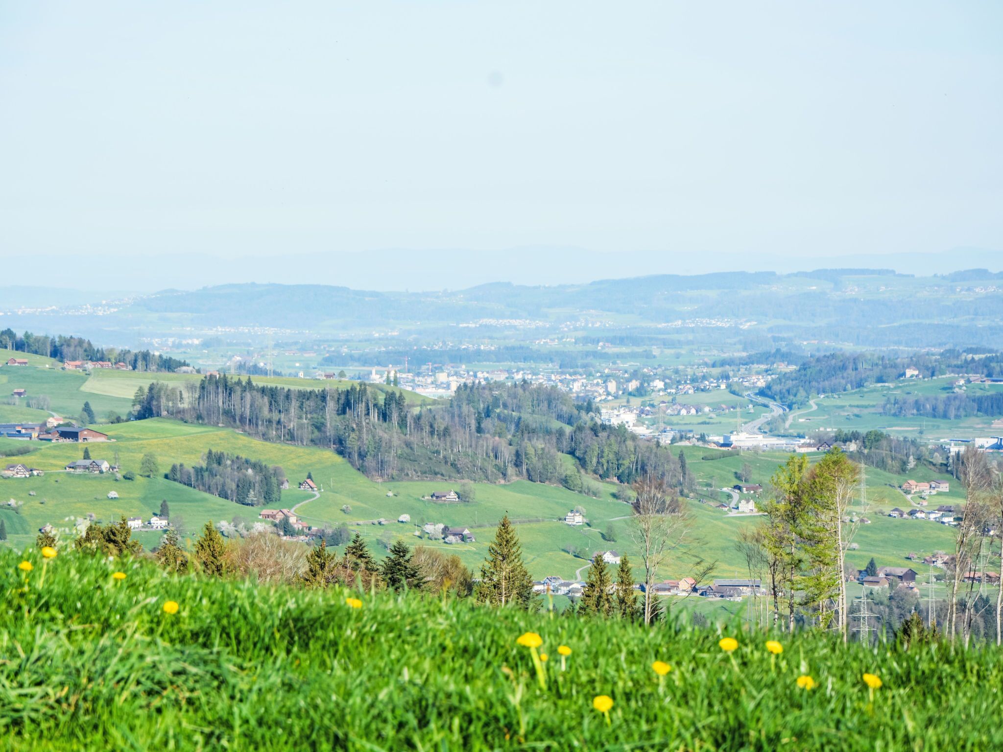 Ein weiter Blick auf eine ländliche Landschaft mit sanften Hügeln, verstreuten Häusern und einem dichten Wald im Hintergrund.