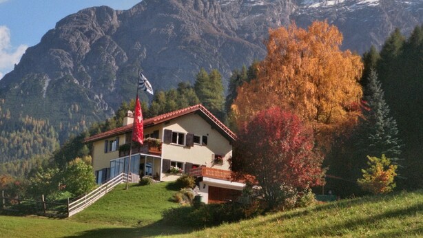 Eksteriør