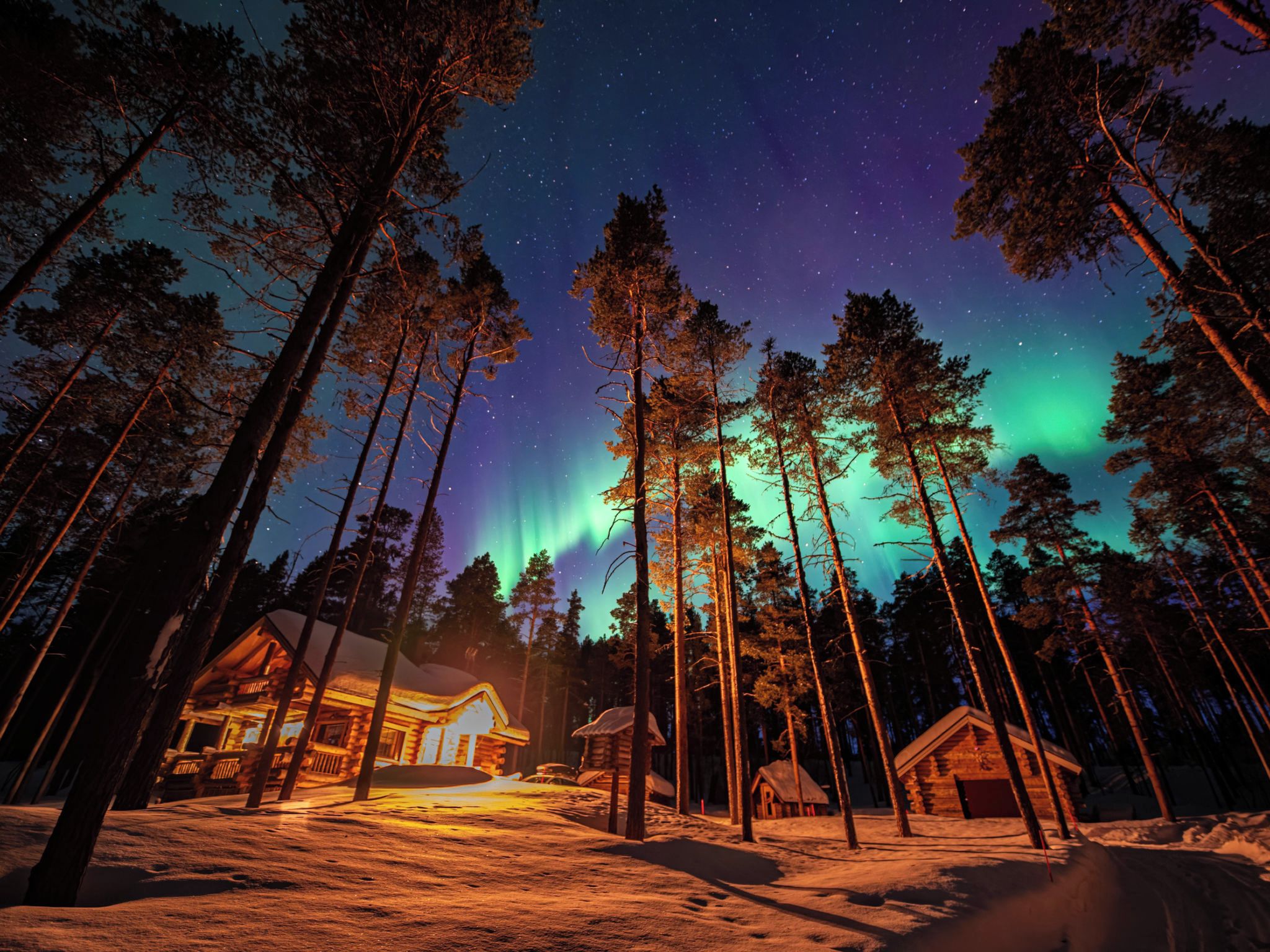 A cabin surrounded by tall trees under a starry night sky with visible aurora borealis.