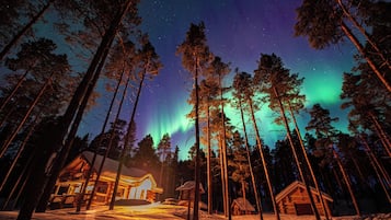 A cabin surrounded by tall trees under a starry night sky with visible aurora borealis.