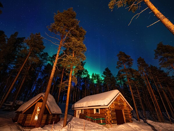 Una cabaña rodeada de altos pinos bajo un cielo estrellado.