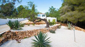 Ein angelegter Garten mit Steinmauer, Agavenpflanzen und einem Baum.
