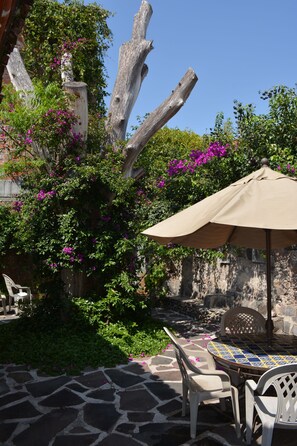 Vista al jardín