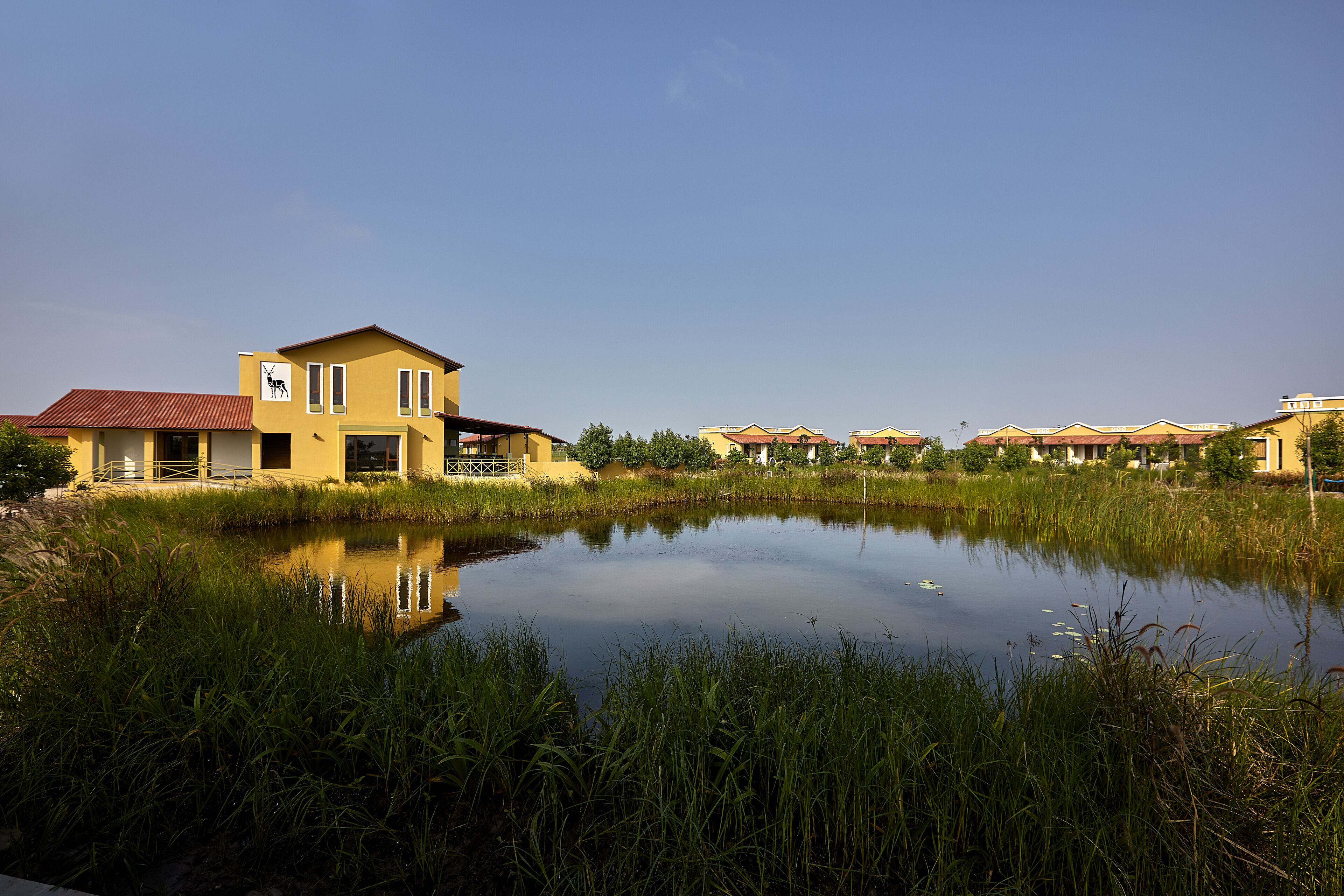 Zona residencial con una casa junto a un estanque tranquilo, rodeada de vegetación y otras viviendas similares.