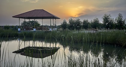 Blackbuck Safari Lodge Velavadar