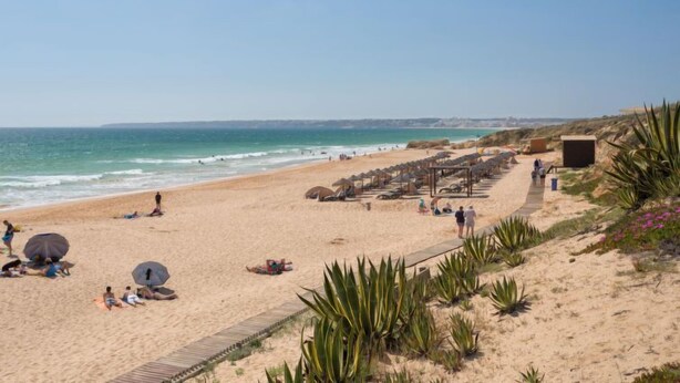 A beach with rows of umbrellas and beach chairs, a wooden walkway, and some vegetation.