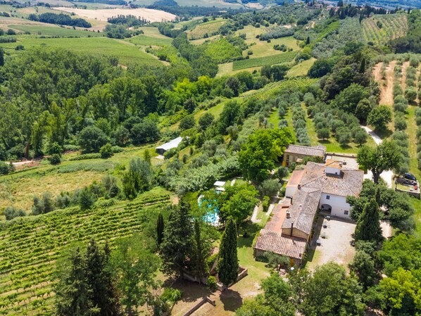 A villa surrounded by lush vineyards and olive groves, with a swimming pool and terraced gardens.