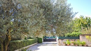 A pathway leading to a gated entrance surrounded by olive trees and greenery. - de la Roque by Interhome (Carpentras)
