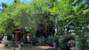 Een tuin met een tafelvoetbaltafel, buitenmeubels en een houten pergola.