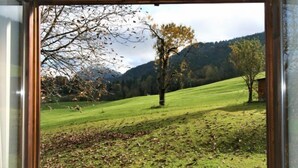 A room with a large window offering a view of a grassy field, trees, and a mountain in the distance. - Vacation home Amberg by Interhome (Schwoich)
