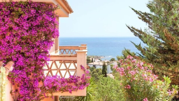 A building with a balcony overlooking a coastal view, surrounded by lush greenery and purple flowers. - Niviroma by Interhome (Llançà)