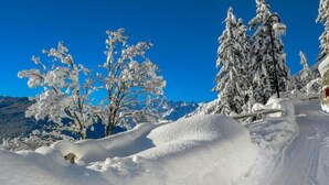 A snowy landscape with a clear blue sky, snow-covered trees, and a road with tire tracks. - Château Lapin by Interhome (Verbier)