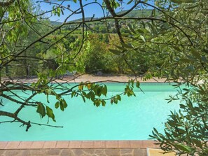 A clear turquoise pool surrounded by lush greenery and a stone border.