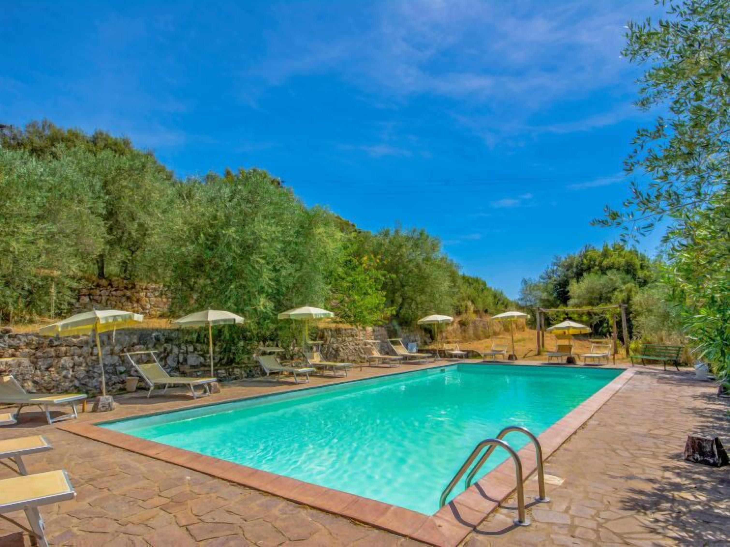 Una piscina rectangular con borde de piedra, rodeada de sillas de descanso y sombrillas, con árboles verdes y un cielo azul despejado de fondo.
