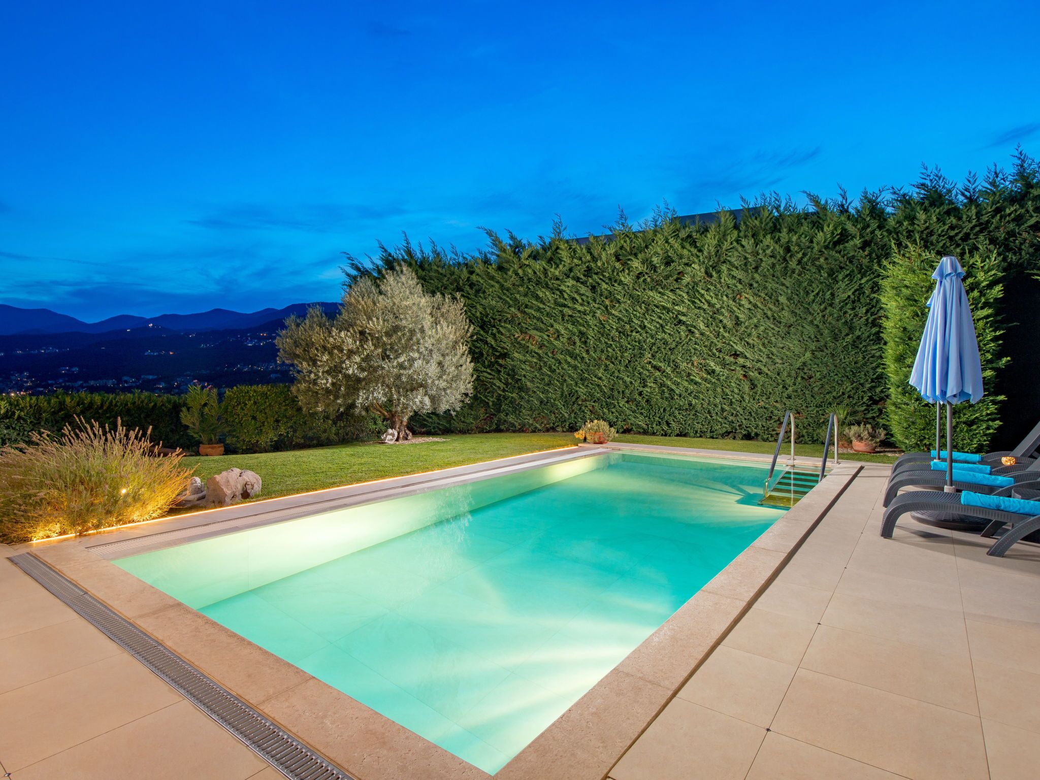 A rectangular swimming pool with a tiled edge, surrounded by a well-maintained lawn and a dense hedge.