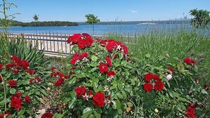 Un jardín con flores rojas y vistas a un cuerpo de agua.